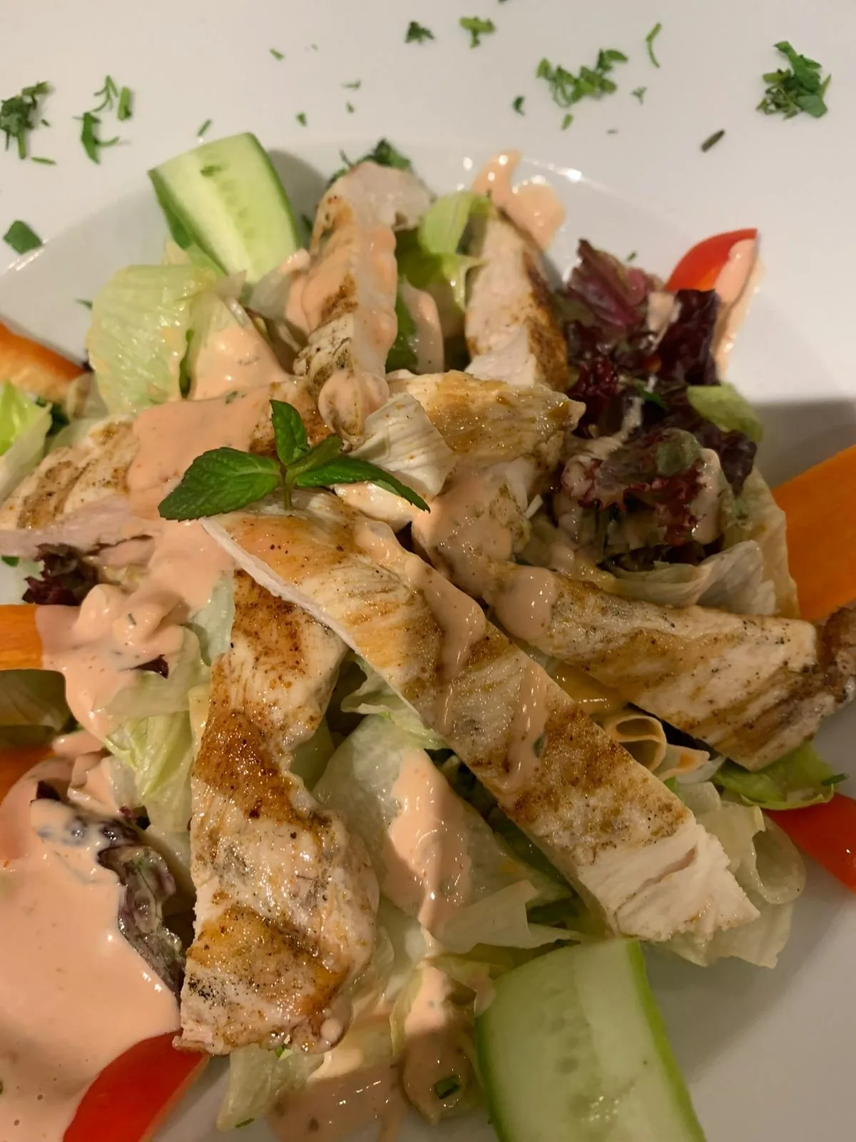Izgara tavuklu salata, özel sos – Novas Hagiasophia